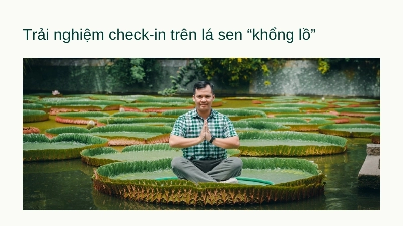 Trải nghiệm check-in trên lá sen “khổng lồ”