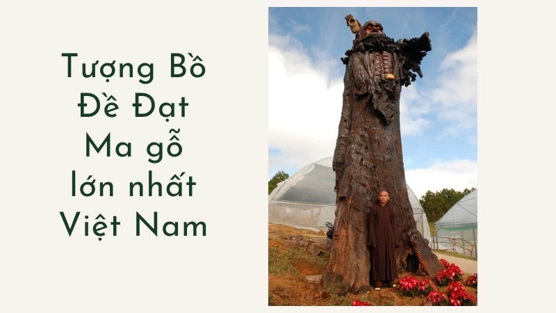 Tượng Bồ Đề Đạt Ma gỗ lớn nhất Việt Nam
