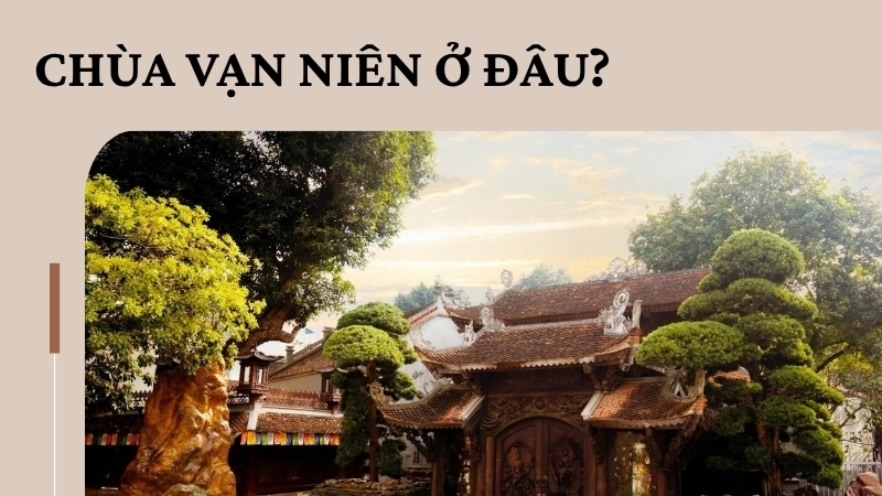Chùa Vạn Niên ở đâu?