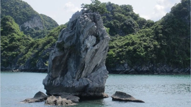 Tìm hiểu giá trị biểu tượng của hòn Con Cóc