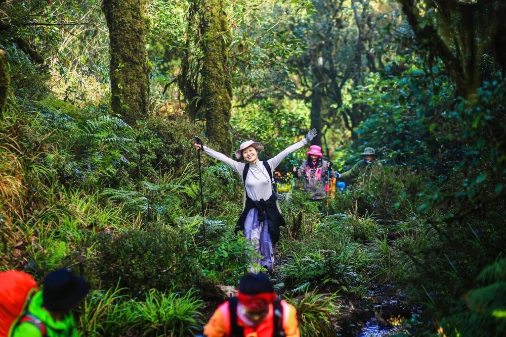 Chinh phục trekking và khám phá rừng nguyên sinh