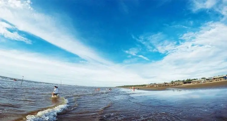 Đừng bỏ lỡ phần giới thiệu Cồn Vành đầy hấp dẫn