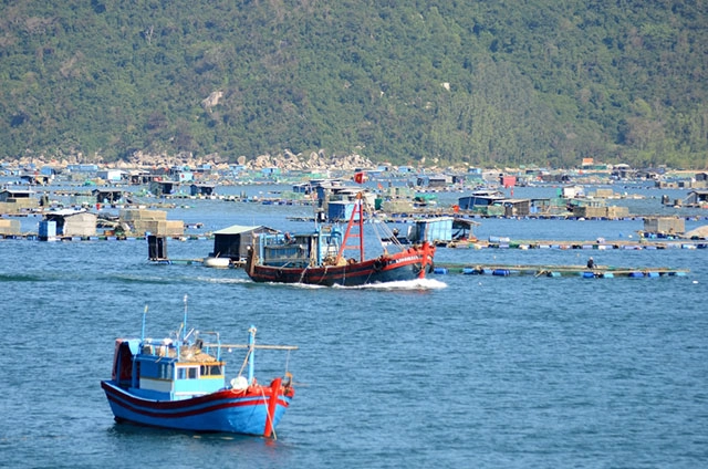 Trải nghiệm đậm vị tại tham quan làng hải sản Vũng Rô