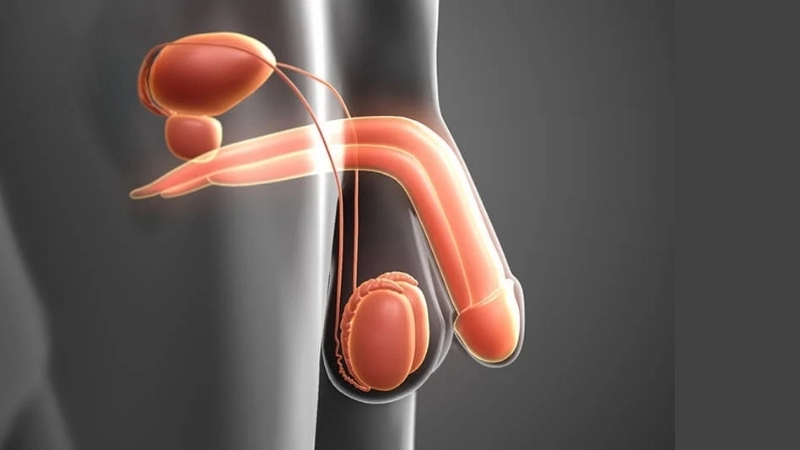 Phương pháp và mẹo chữa trị khi bị dái xệ
