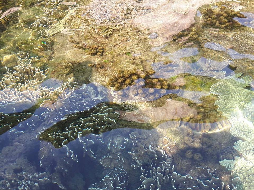 Ngắm Ghềnh đá Khải Lương và đại dương sắc màu Đầm Môn