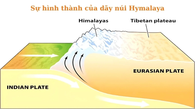 Dãy núi Himalaya được hình thành do sự va chạm giữa mảng Ấn Độ và mảng Á-Âu.