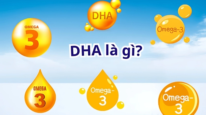 DHA là chất gì?