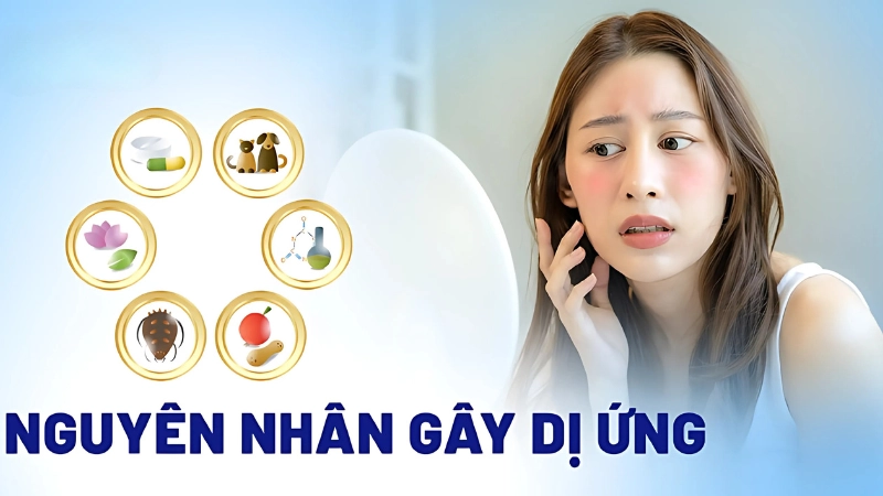Dị ứng ngứa là gì và nguyên nhân gây ra dị ứng ngứa