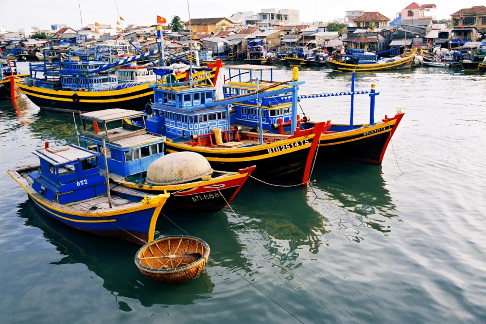 Tham quan cảng cá Phan Thiết mỗi sớm tinh mơ
