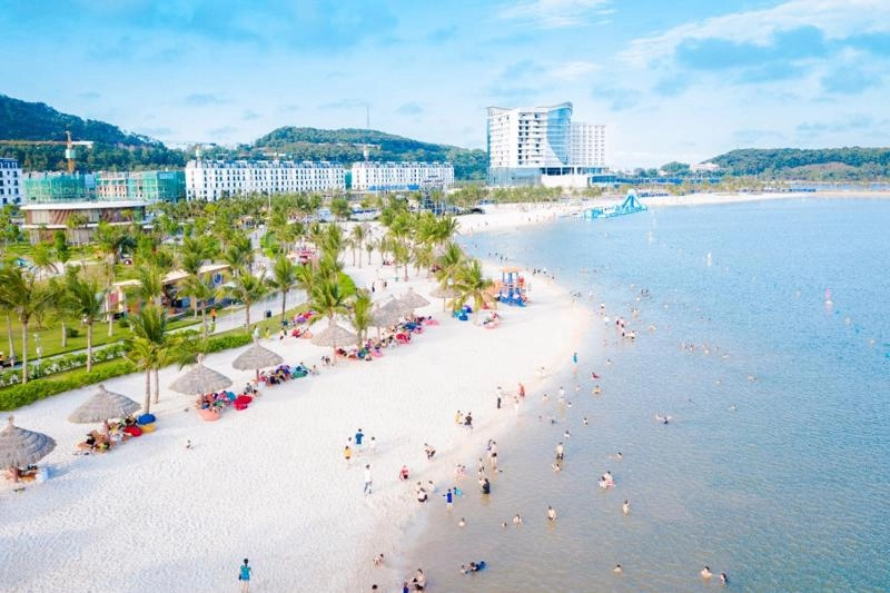 Gợi ý thời gian lý tưởng để đến Đồi Rồng đẹp nhất