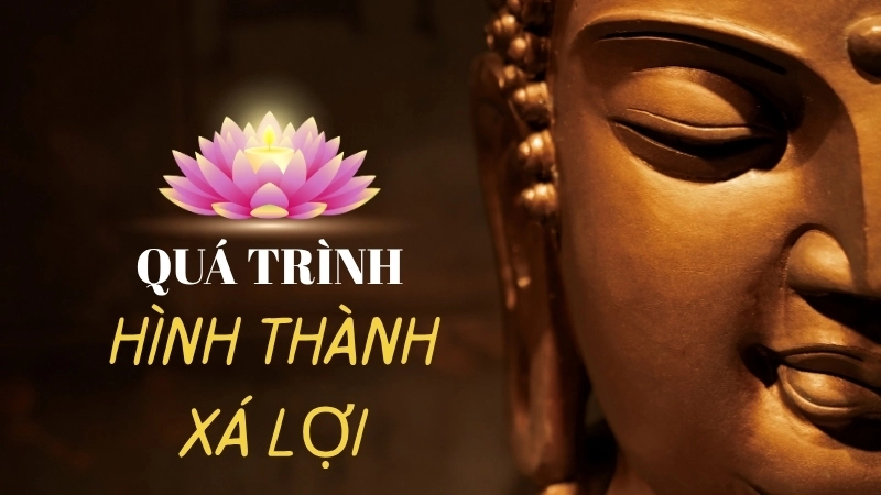 Dù quá trình hình thành xá lợi vẫn còn là điều bí ẩn, những viên ngọc này luôn toát lên vẻ đẹp siêu thoát