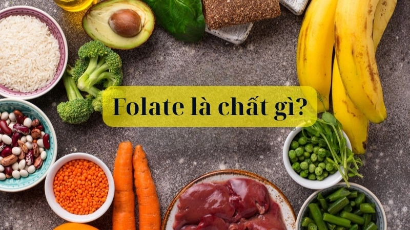 Folate là chất gì?