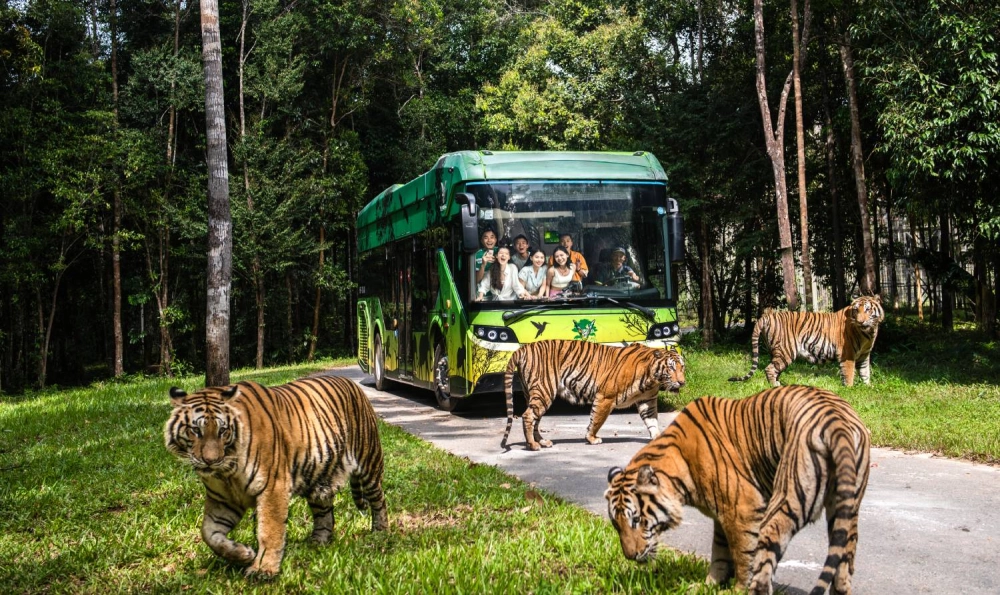 Hòa mình hoang dã với gặp gỡ thiên nhiên tại vinpearl safari