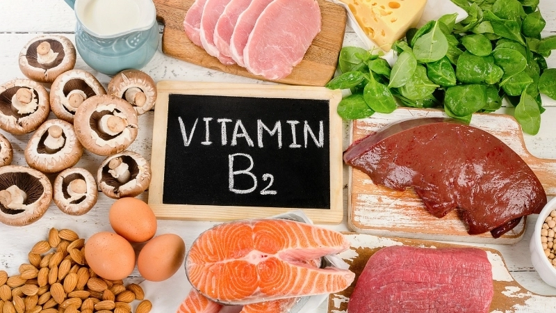 Vitamin B2 giúp cơ thể chuyển hóa năng lượng từ thức ăn và duy trì lượng tế bào