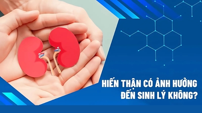 Hiến thận có bị sao không?