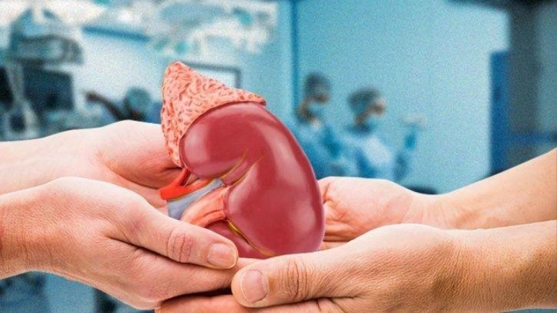 Mẹo và biện pháp chữa trị khi bị ảnh hưởng sau hiến thận