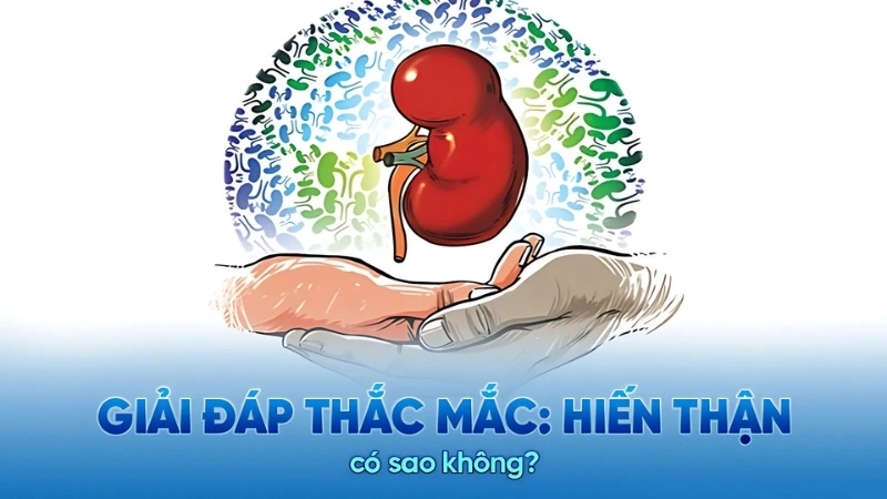 Triệu chứng khi bị suy giảm chức năng thận sau hiến