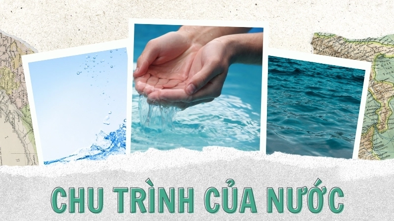  Hiểu rõ chu trình nước giúp bạn biết nước từ đâu ra và vai trò của nó