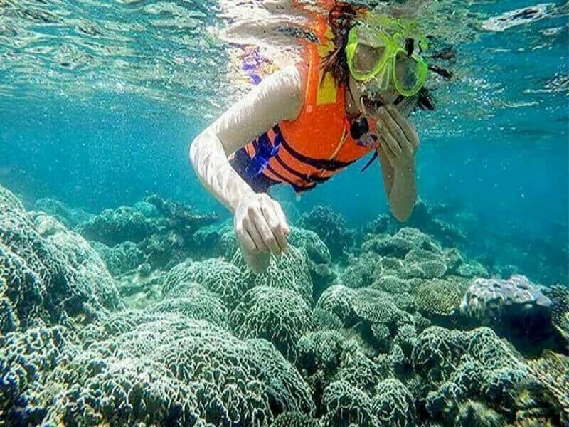 Thế giới dưới nước từ lặn ngắm san hô biển cả muôn màu