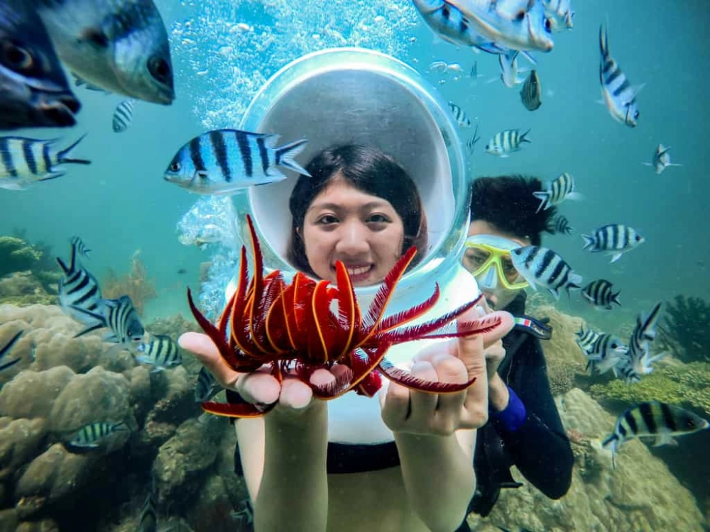 Kỳ thú với lặn ngắm san hô