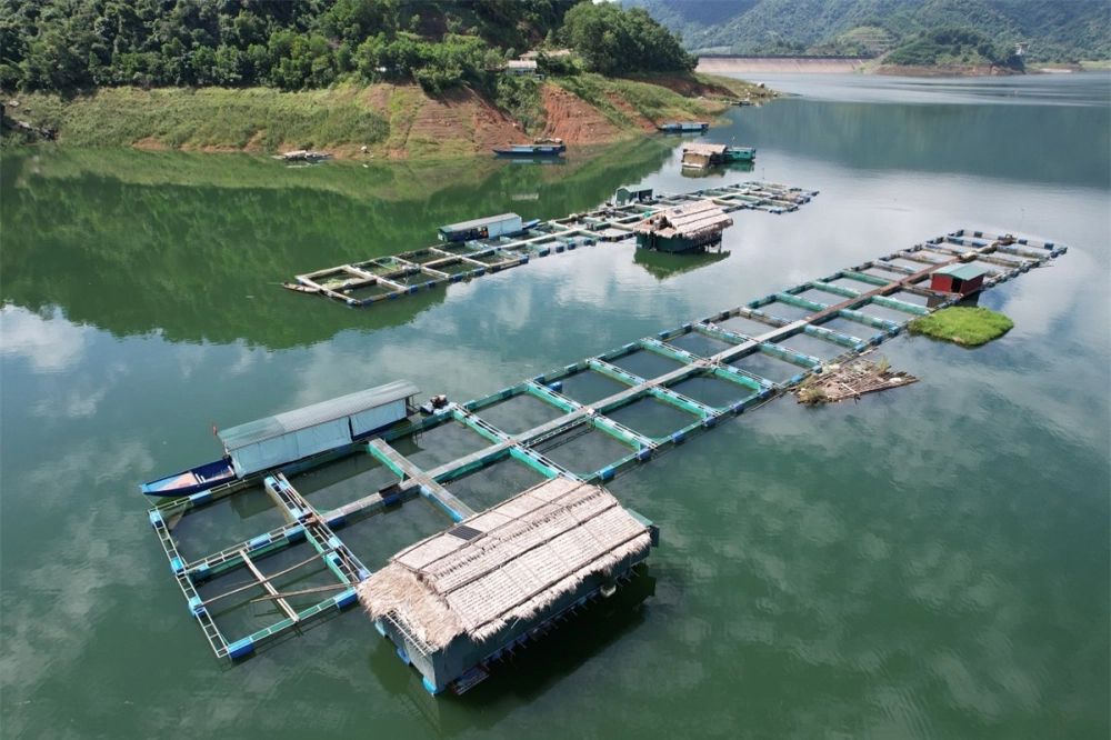 Thú vị cùng khám phá khu nuôi cá giò giữa biển