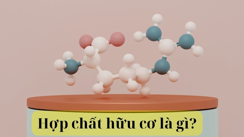 Hợp chất hữu cơ là gì?