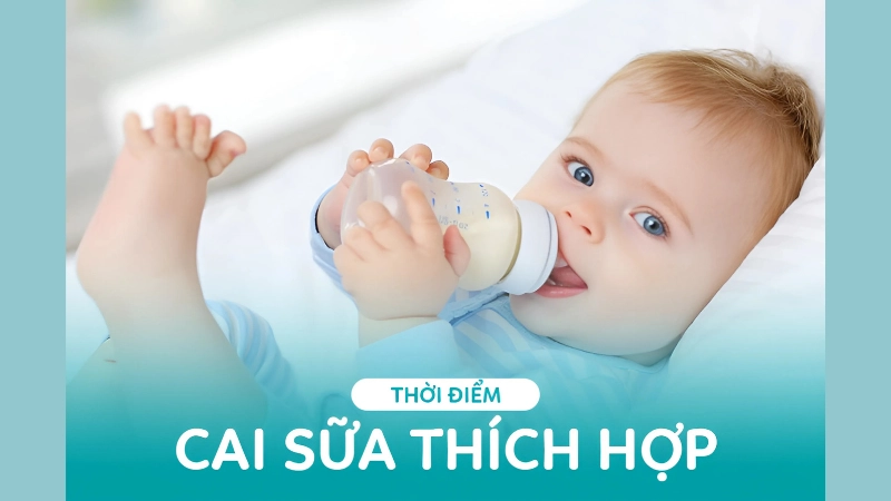 Khi nào nên cai sữa cho bé