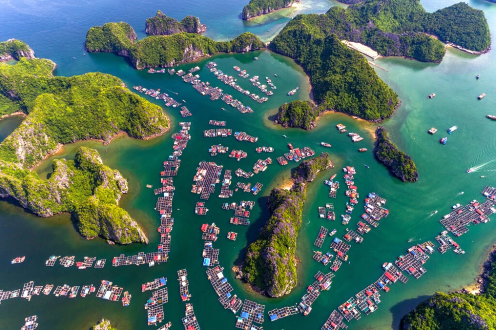 Khám phá ngay Vịnh Lan Hạ Cát Bà nằm ở đâu nhé
