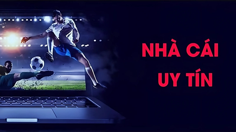 Lựa chọn nhà cái uy tín
