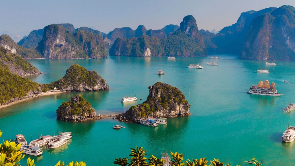 Ngắm toàn cảnh từ vịnh Hạ Long thơ mộng