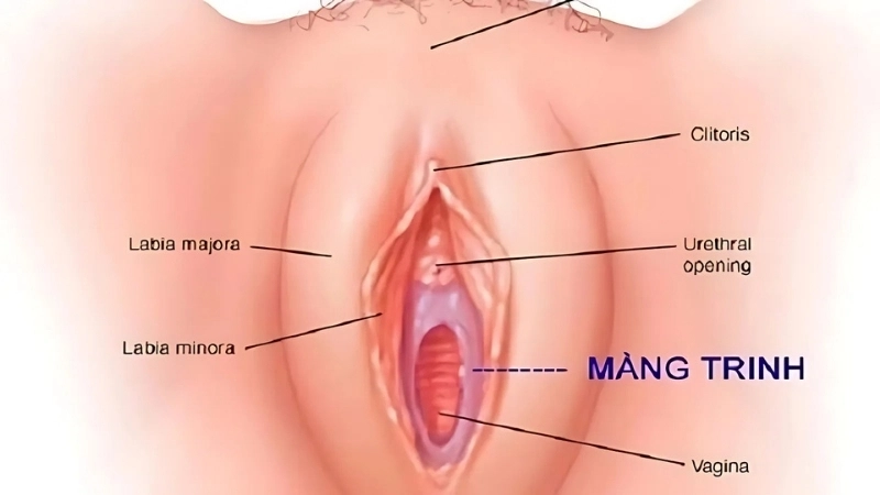 Mẹo và biện pháp chữa trị khi bị tổn thương sau mất trinh