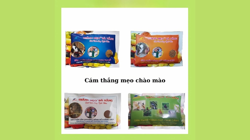Mẹo sử dụng cám chào mào thắng mẹo hiệu quả