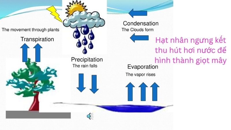 Minh họa hạt nhân ngưng kết thu hút hơi nước để hình thành giọt mây