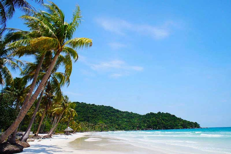 Đắm mình giữa sóng vỗ tại bãi biển Trường Chinh
