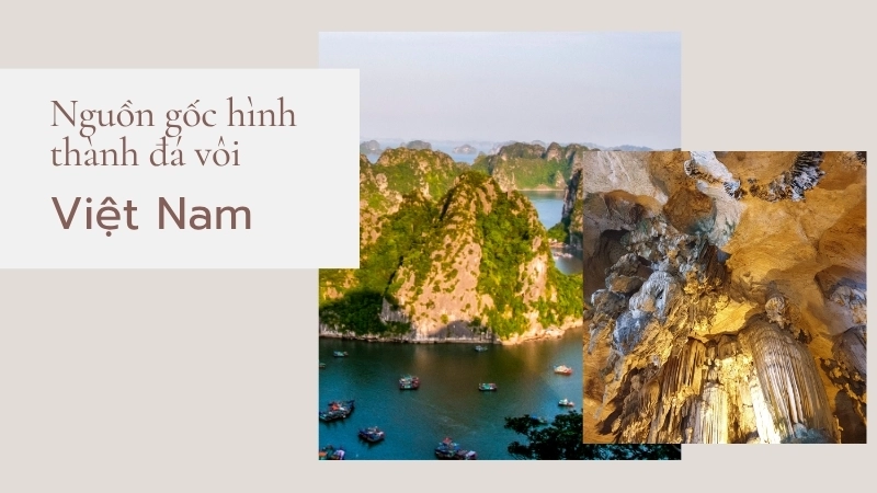  Nguồn gốc hình thành đá vôi ở Việt Nam tạo nên các kỳ quan Karst độc đáo như Vịnh Hạ Long