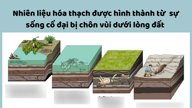  Nhiên liệu hóa thạch được hình thành từ đâu bắt nguồn từ sự sống cổ đại bị chôn vùi dưới lòng đất