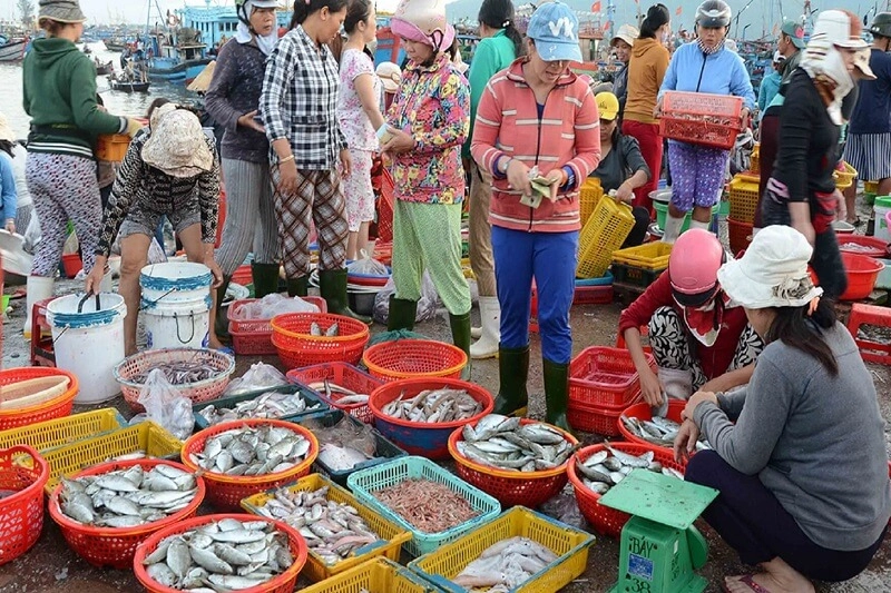 Cảm nhận nhịp sống cùng dạo chợ sớm đậm chất miền biển
