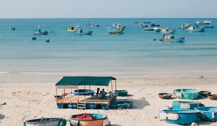 Tận hưởng trọn vẹn với du lịch Nhơn Lý mùa nào đẹp nhất