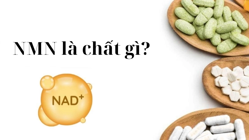 NMN là chất gì?