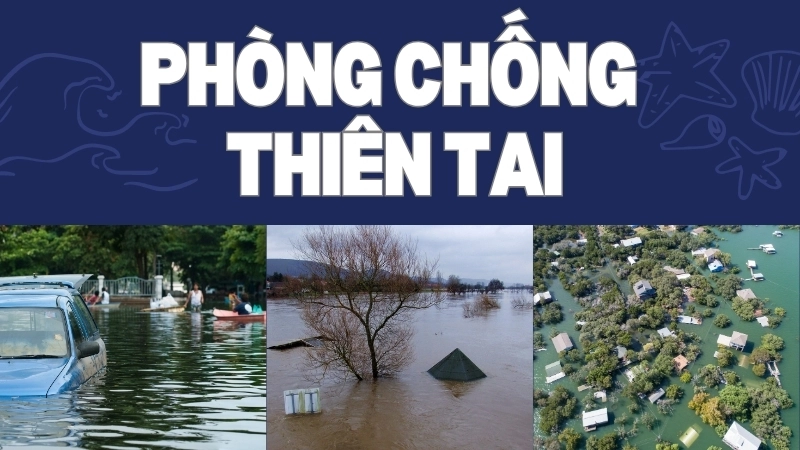  Phòng chống thiên tai lũ lụt hiệu quả đòi hỏi sự kết hợp của nhiều biện pháp 