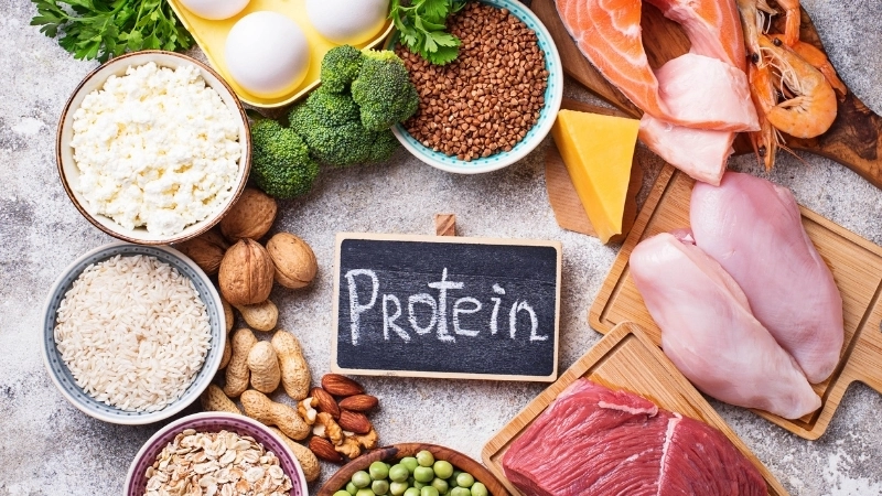 Một số thực phẩm giàu protein