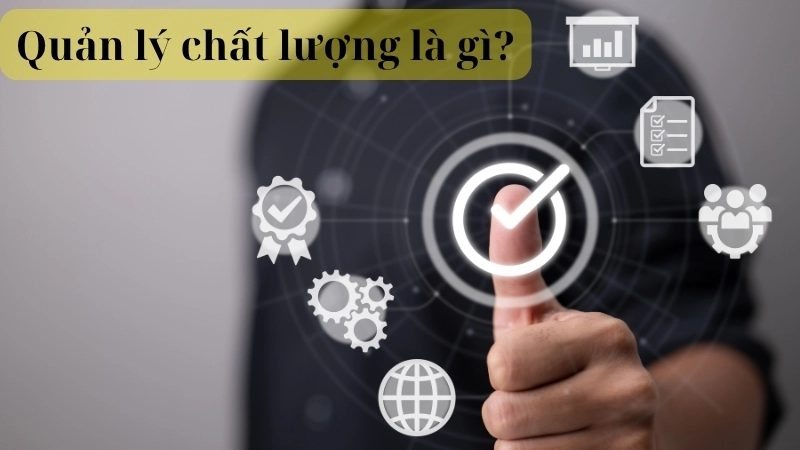 Quản lý chất lượng là gì?