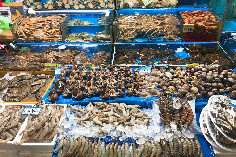 Mê mẩn khi khám phá chợ hải sản địa phương