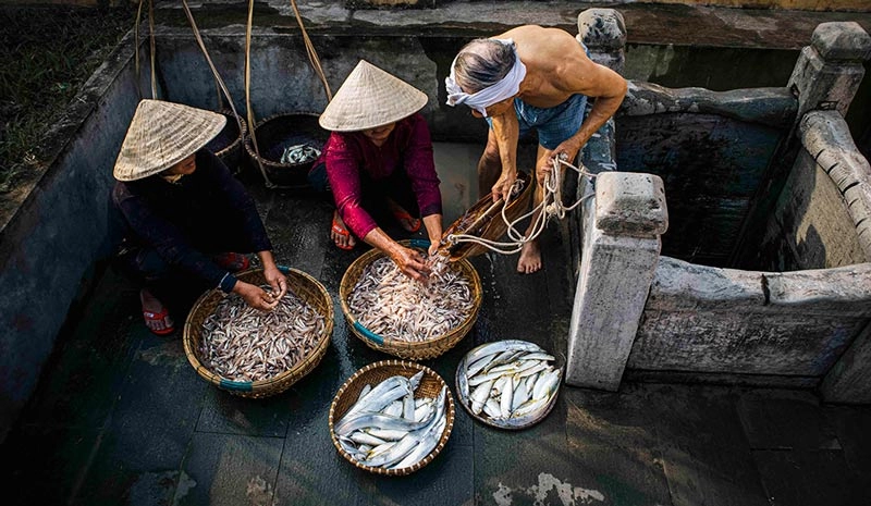 Ghé thăm tham quan làng nước mắm Nam Ô đậm chất xưa