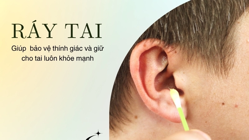Ráy tai của bạn là một phần quan trọng để bảo vệ thính giác và giữ cho tai luôn khỏe mạnh