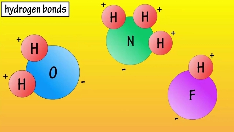 So sánh cấu trúc nước (có liên kết hydrogen) và metan (không có) 