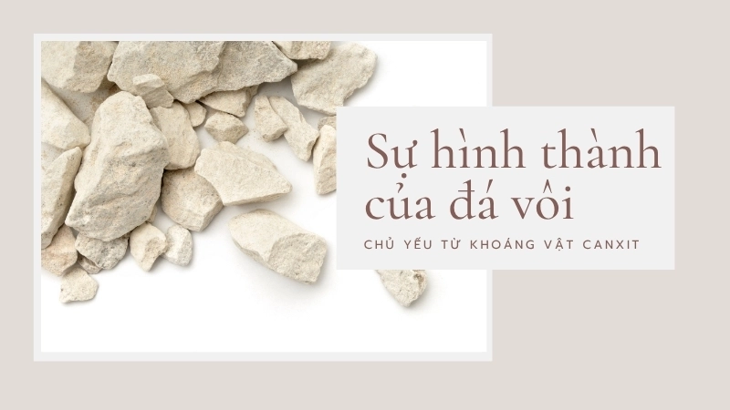 Sự hình thành của đá vôi chủ yếu từ khoáng vật canxit
