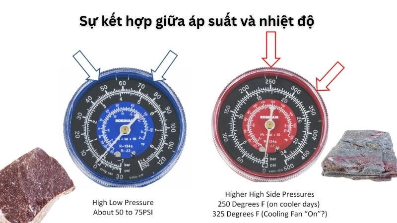 Sự kết hợp giữa áp suất và nhiệt độ tạo nên một môi trường lý tưởng 