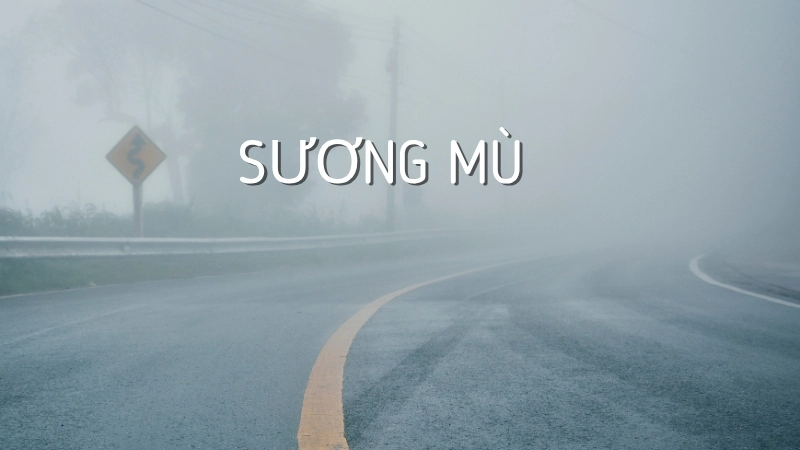 Sương mù hình thành ở hoặc rất gần mặt đất