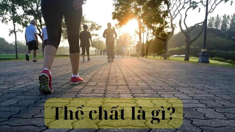 Thể chất là gì?